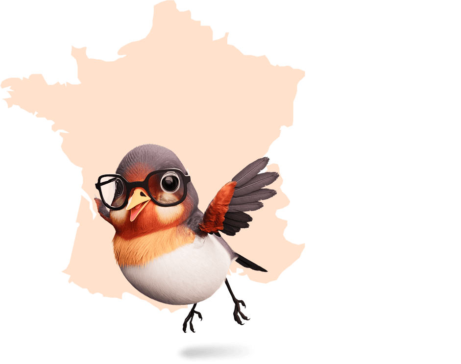 Hibou sur la carte de France